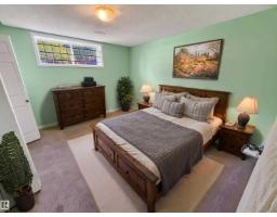 11327 25 Av Nw, Edmonton, AB T6J5J1 Photo 47
