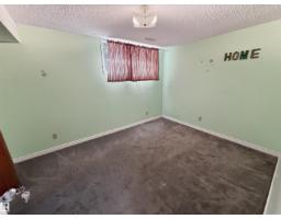 11327 25 Av Nw, Edmonton, AB T6J5J1 Photo 48