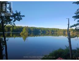 17 Fire Route 92a Kasshabog Lake, Havelock Belmont Methuen, ON K0L2H0 Photo 20
