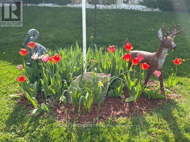 21 MAPLE GROVE VILLAGE ROAD - 33