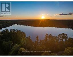 3712 Brunel Road, Lake Of Bays, ON P0B1A0 Photo 7