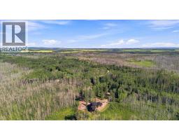 53, 704041 Range Road 72, Rural Grande Prairie No  1, County Of, AB T8W5G2 Photo 46