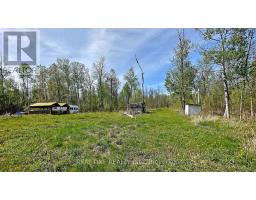4778 Holborn Road, East Gwillimbury, ON L0G1N0 Photo 10