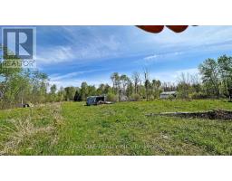 4778 Holborn Road, East Gwillimbury, ON L0G1N0 Photo 12