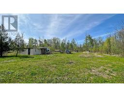 4778 Holborn Road, East Gwillimbury, ON L0G1N0 Photo 13