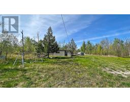 4778 Holborn Road, East Gwillimbury, ON L0G1N0 Photo 15