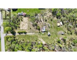 4778 Holborn Road, East Gwillimbury, ON L0G1N0 Photo 16