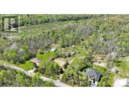 4778 Holborn Road, East Gwillimbury, ON L0G1N0 Photo 18