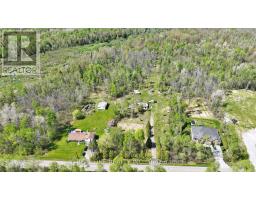 4778 Holborn Road, East Gwillimbury, ON L0G1N0 Photo 19