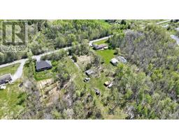 4778 Holborn Road, East Gwillimbury, ON L0G1N0 Photo 20