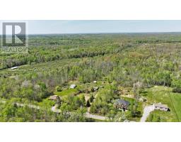 4778 Holborn Road, East Gwillimbury, ON L0G1N0 Photo 22