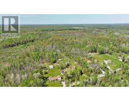 4778 Holborn Road, East Gwillimbury, ON L0G1N0 Photo 23