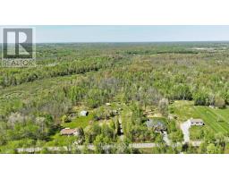 4778 Holborn Road, East Gwillimbury, ON L0G1N0 Photo 24