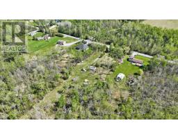4778 Holborn Road, East Gwillimbury, ON L0G1N0 Photo 26
