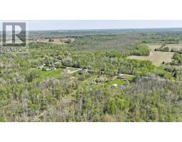 4778 Holborn Road, East Gwillimbury, ON L0G1N0 Photo 27