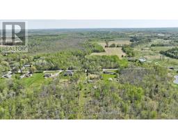 4778 Holborn Road, East Gwillimbury, ON L0G1N0 Photo 28
