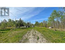 4778 Holborn Road, East Gwillimbury, ON L0G1N0 Photo 6