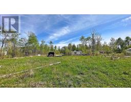 4778 Holborn Road, East Gwillimbury, ON L0G1N0 Photo 7