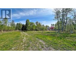 4778 Holborn Road, East Gwillimbury, ON L0G1N0 Photo 8