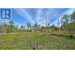 4778 Holborn Road, East Gwillimbury, ON L0G1N0 Photo 9