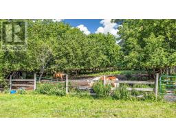 16558 Highway 48, Whitchurch Stouffville, ON L4A7X4 Photo 37