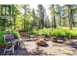 2411 63 Street, Coleman, AB T0K0M0 Photo 39