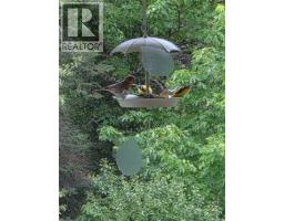 2942 Sherman Rd, Duncan, BC V9L2B6 Photo 49