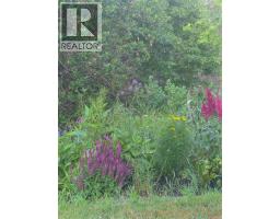 2942 Sherman Rd, Duncan, BC V9L2B6 Photo 50