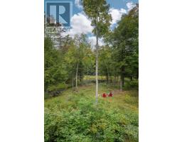 20195 62 Highway, Tudor And Cashel, ON K0K1Y0 Photo 34