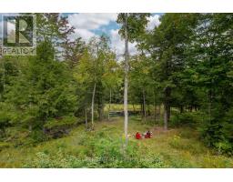 20195 62 Highway, Tudor And Cashel, ON K0K1Y0 Photo 35