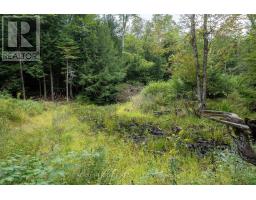 20195 62 Highway, Tudor And Cashel, ON K0K1Y0 Photo 40