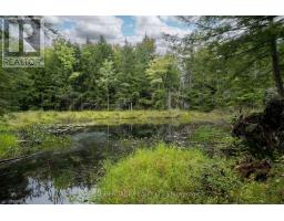 20195 62 Highway, Tudor And Cashel, ON K0K1Y0 Photo 41