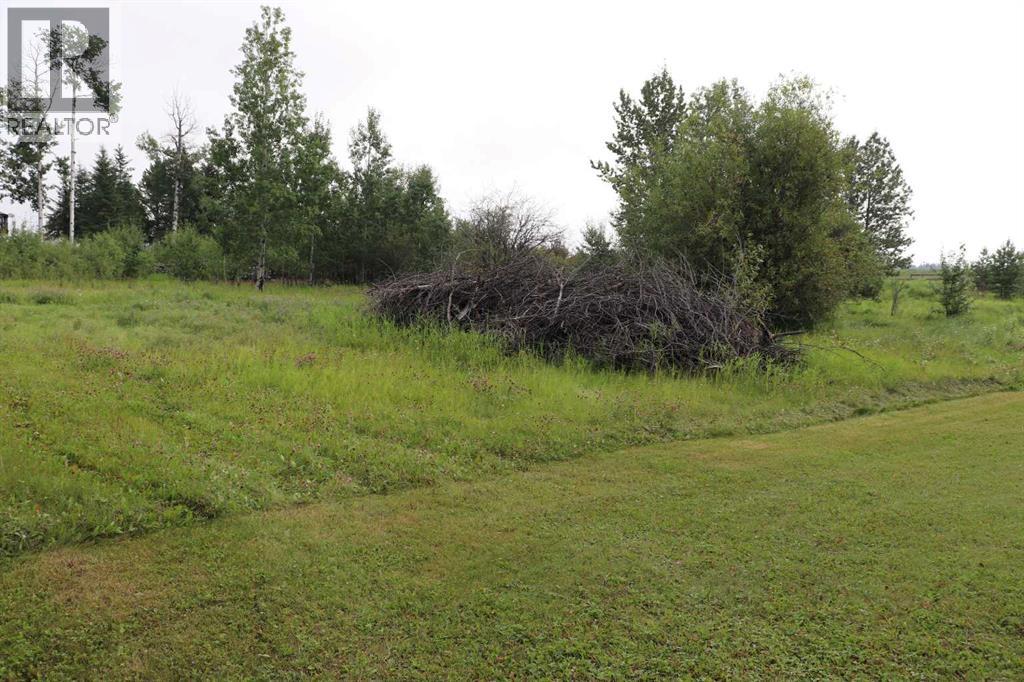 54227 Range Road 150 - Photo 36