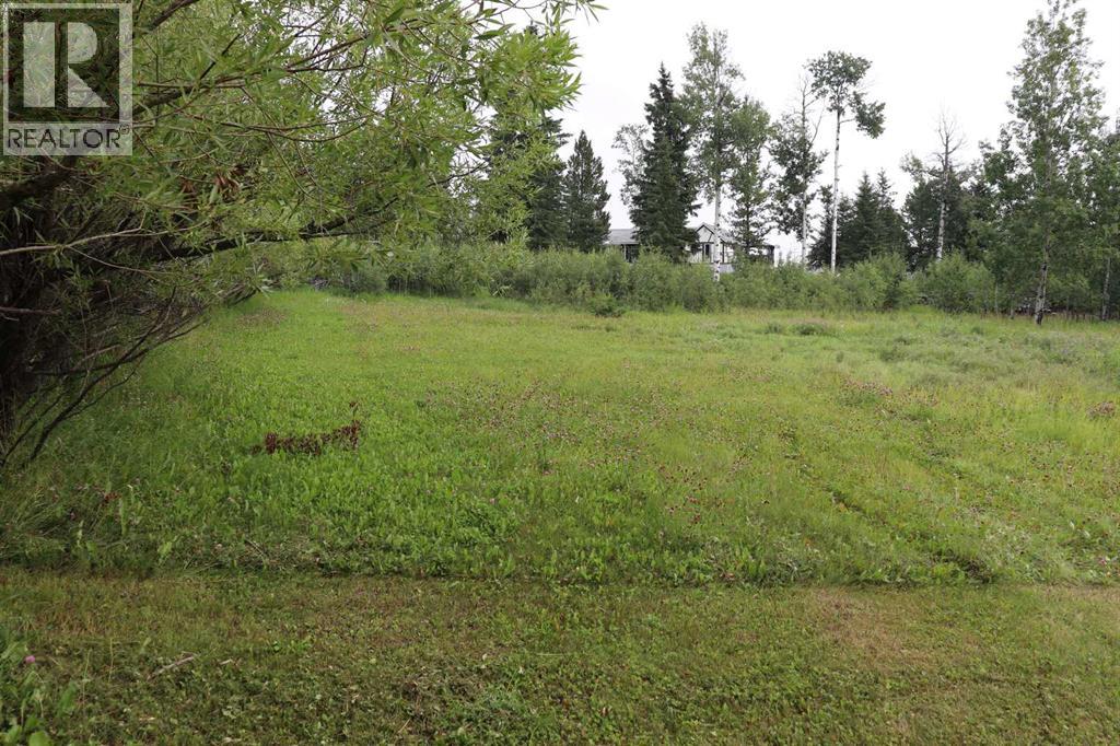 54227 Range Road 150 - Photo 35