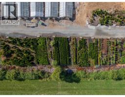 3280 No. 6 Road, Richmond, BC V6V1P5 Photo 6
