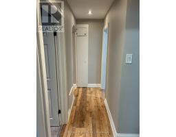 Main - 394 Whitmore Avenue, Toronto, ON M6E2N4 Photo 19