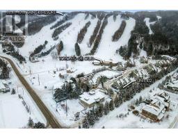 102 - 796468 Grey Road 19 Road, Blue Mountains, ON L9Y0N6 Photo 46