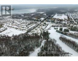 102 - 796468 Grey Road 19 Road, Blue Mountains, ON L9Y0N6 Photo 47