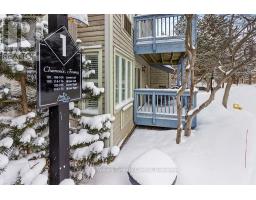 102 - 796468 Grey Road 19 Road, Blue Mountains, ON L9Y0N6 Photo 7