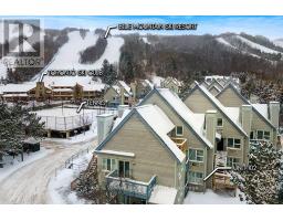102 - 796468 Grey Road 19 Road, Blue Mountains, ON L9Y0N6 Photo 8