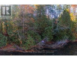34 Riverside Place, South Bruce Peninsula, ON N0H2G0 Photo 10