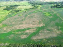 130061 7w Road, Poplarfield, MB R0C1P0 Photo 23