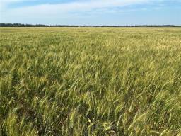 130061 7w Road, Poplarfield, MB R0C1P0 Photo 38