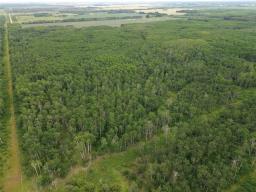 130061 7w Road, Poplarfield, MB R0C1P0 Photo 35