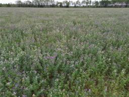 130061 7w Road, Poplarfield, MB R0C1P0 Photo 40