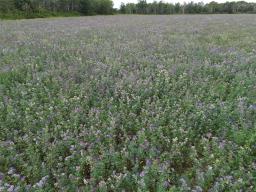 130061 7w Road, Poplarfield, MB R0C1P0 Photo 39