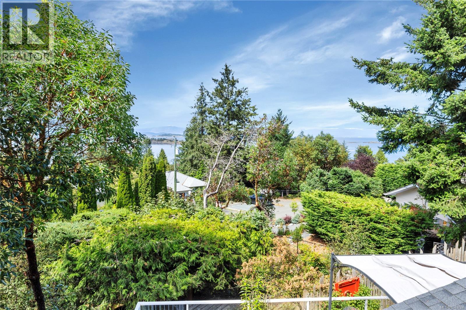 3259 Dolphin Dr - 36