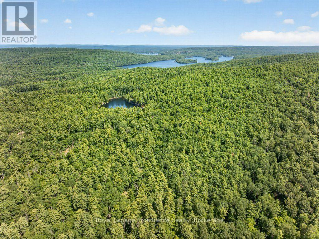 2807 MACKIE LAKE - 49