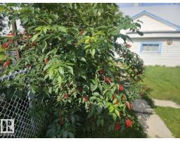 5024 50 St, Andrew, AB T0B0C0 Photo 29