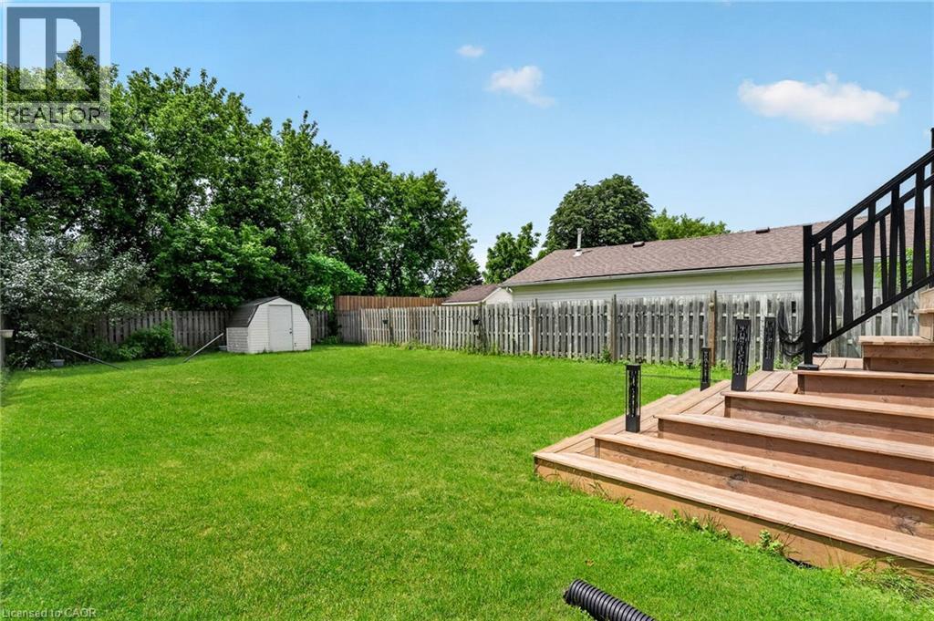 Thumbnail 39